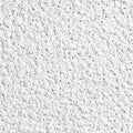 White 24 in W x 48 in L Ceiling Tile Z6116