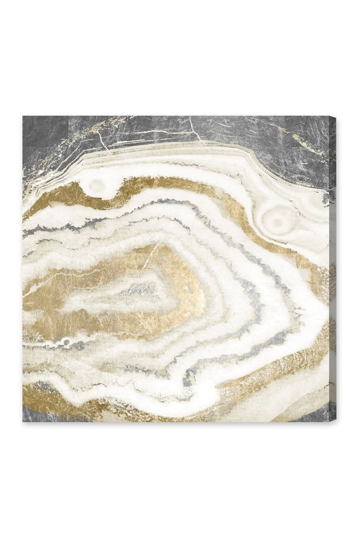 Gold Silver Agate Abstract Canvas H797667