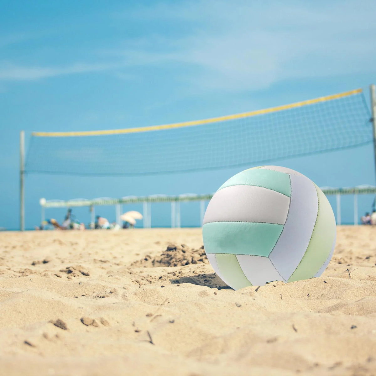 Blue Volleyball S962599