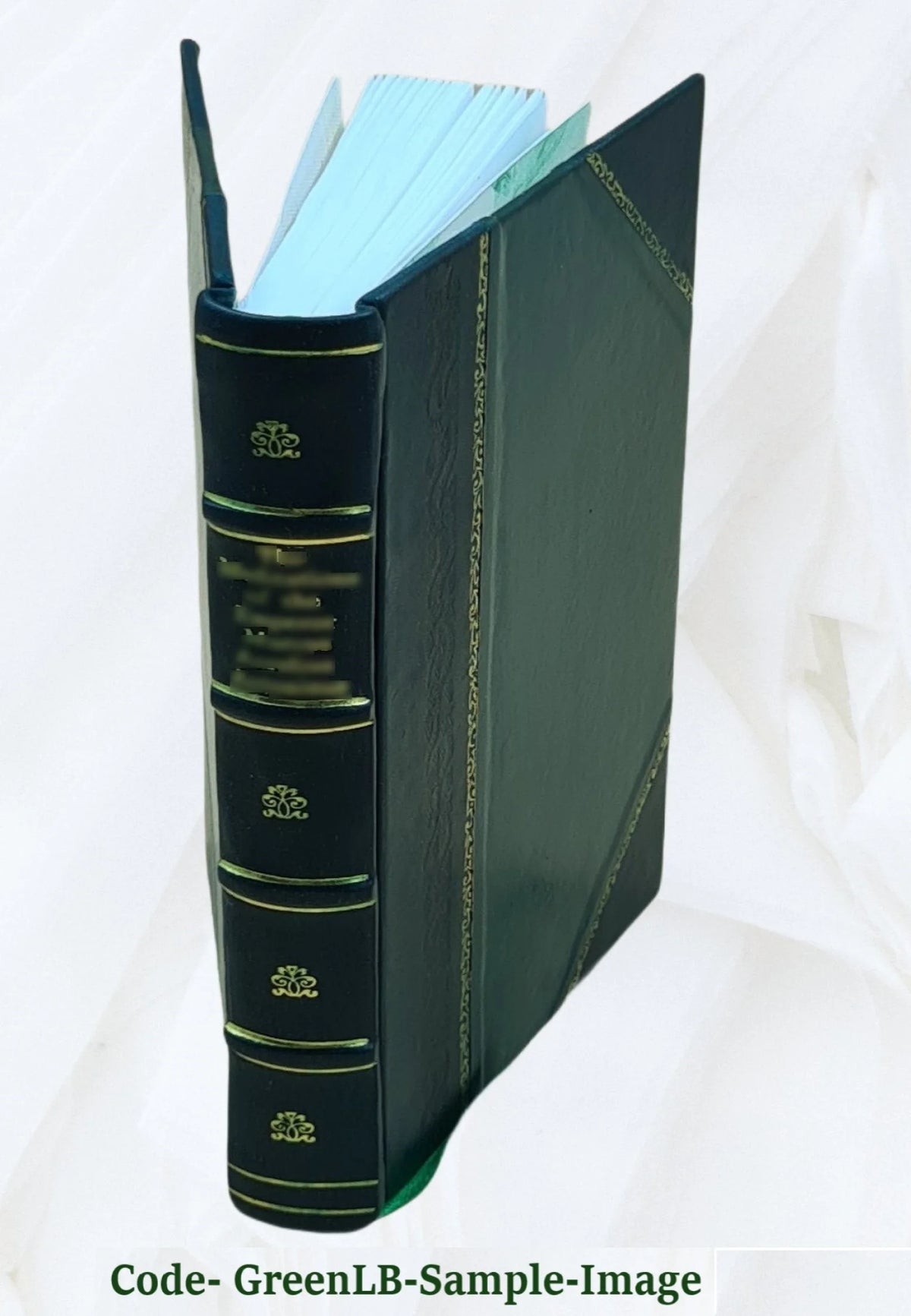 Leather Bound Book L505564