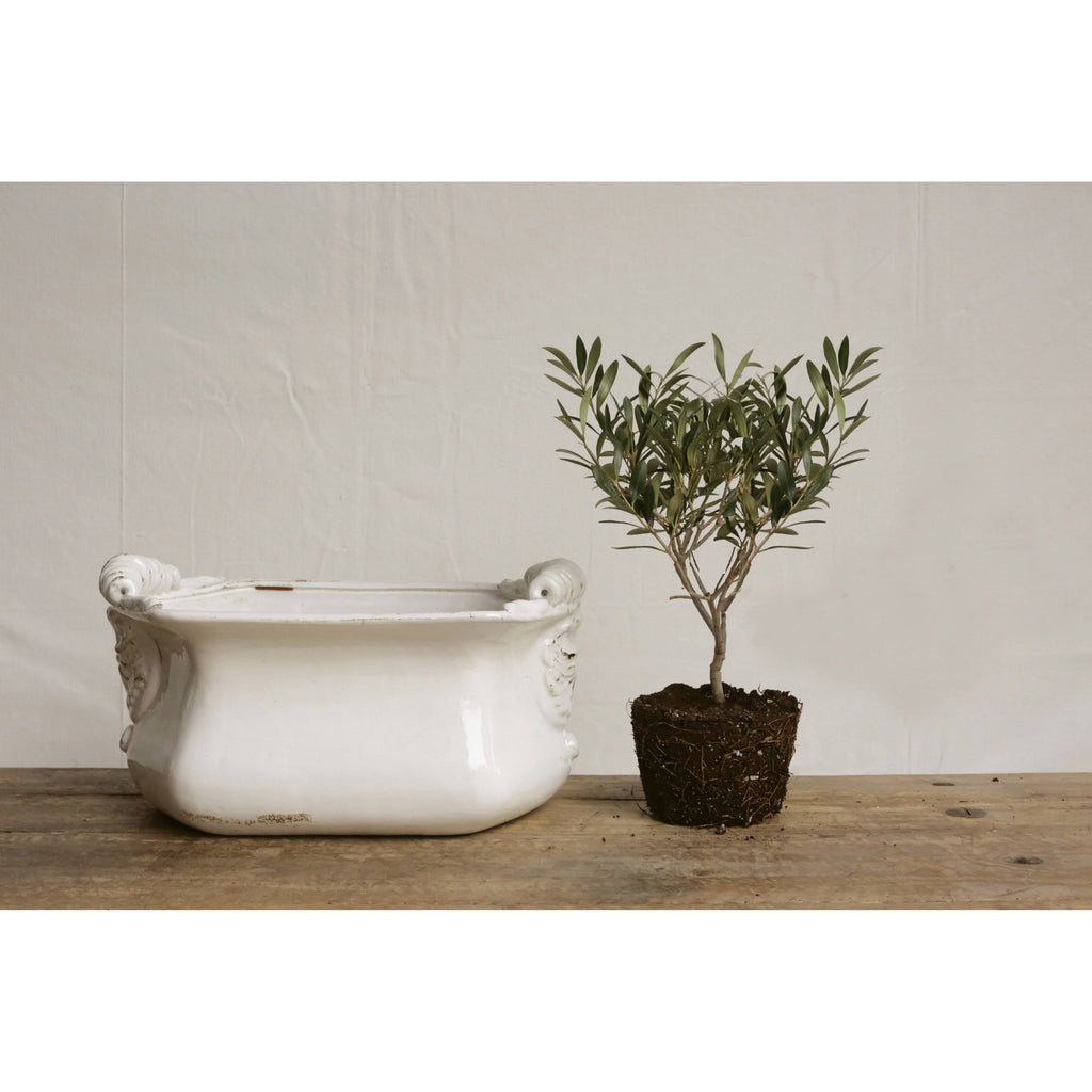 White Terra Cotta Cache Pot S578