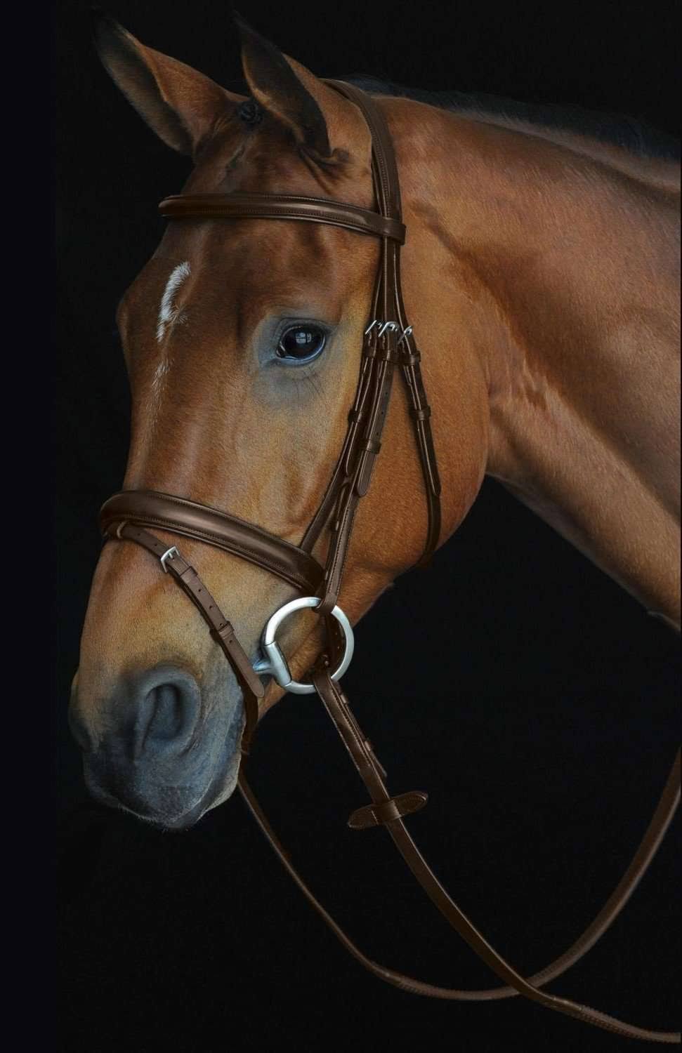 Black Padded Raised Flash Bridle B435261