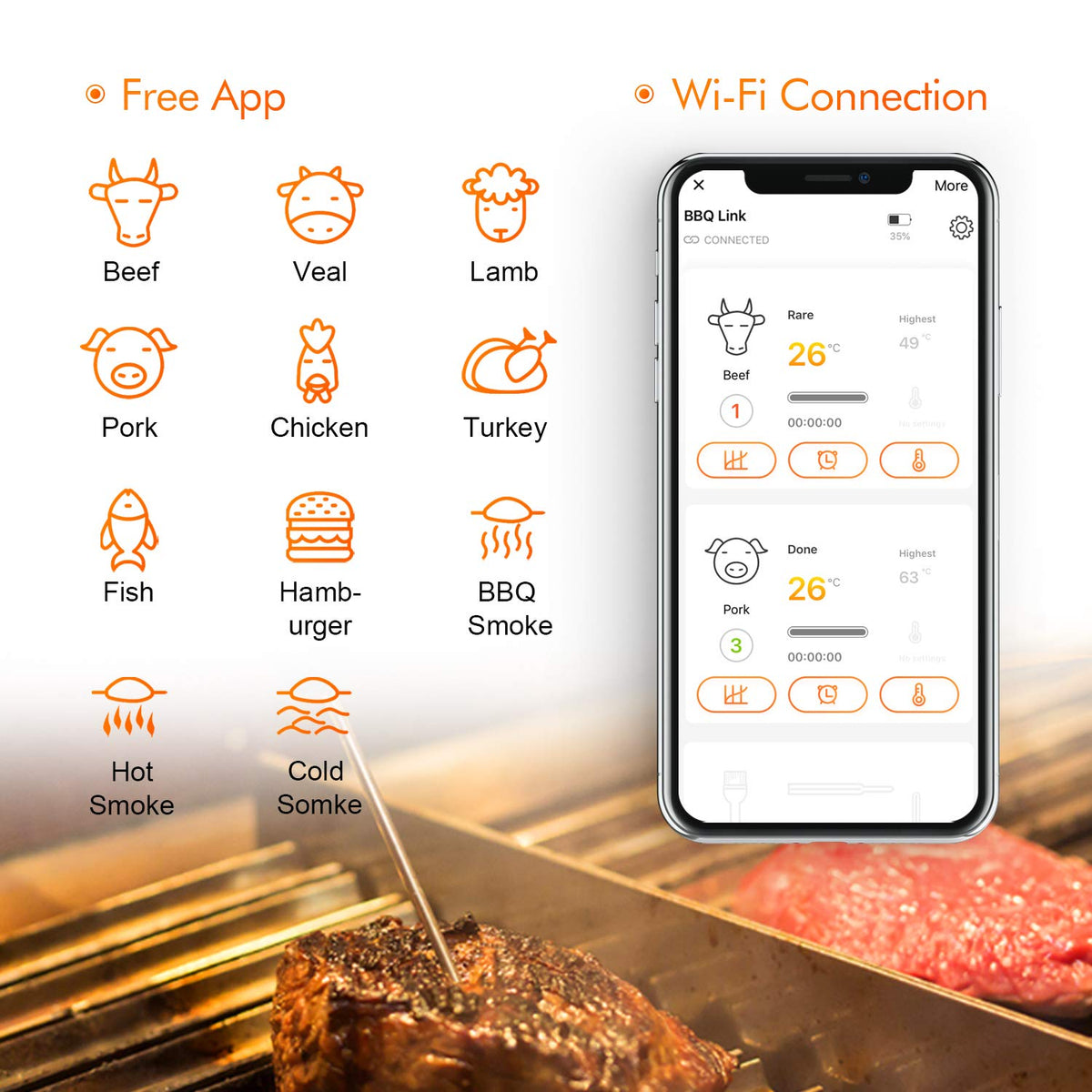 WiFi Meat Thermometer with 4 Probes & Hard Carrying Case D4227