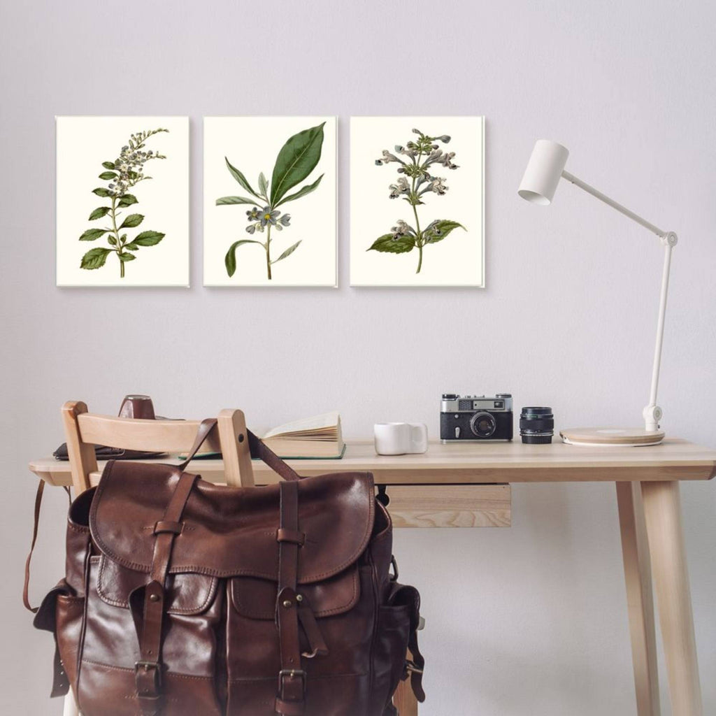 Minimal Blue Botanical Study Framed Floral Wood Print in Brown H8647