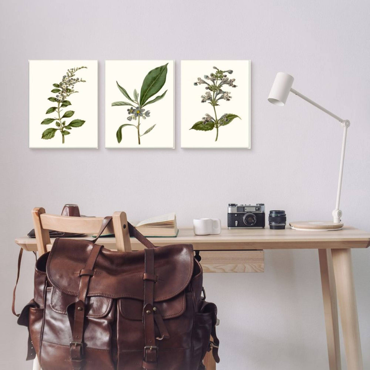 Minimal Blue Botanical Study Framed Floral Wood Print in Brown H8647