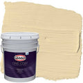 5 gal Exterior Paint + Primer, Beige F565