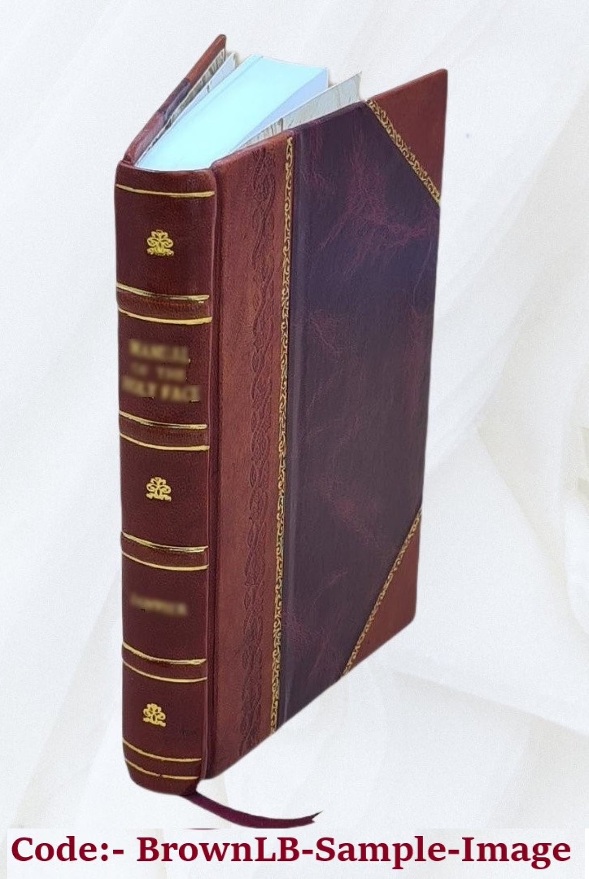 Leather Bound Book L505564
