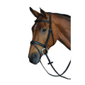 Black Padded Raised Flash Bridle B435261
