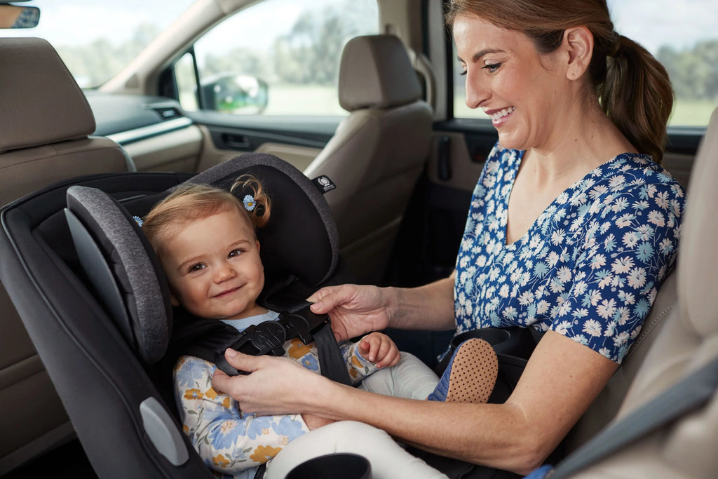 Cranberry Ice All-in-One Convertible Car Seat C7042