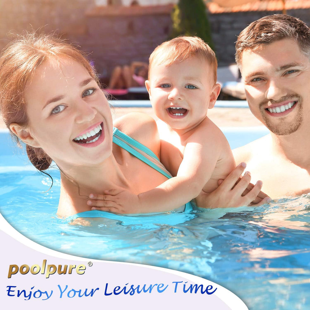 Pack of 4 Pool Filter Cartridge C979