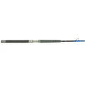 TALAVERA BW 70XH Saltwater Fishing Rod I908