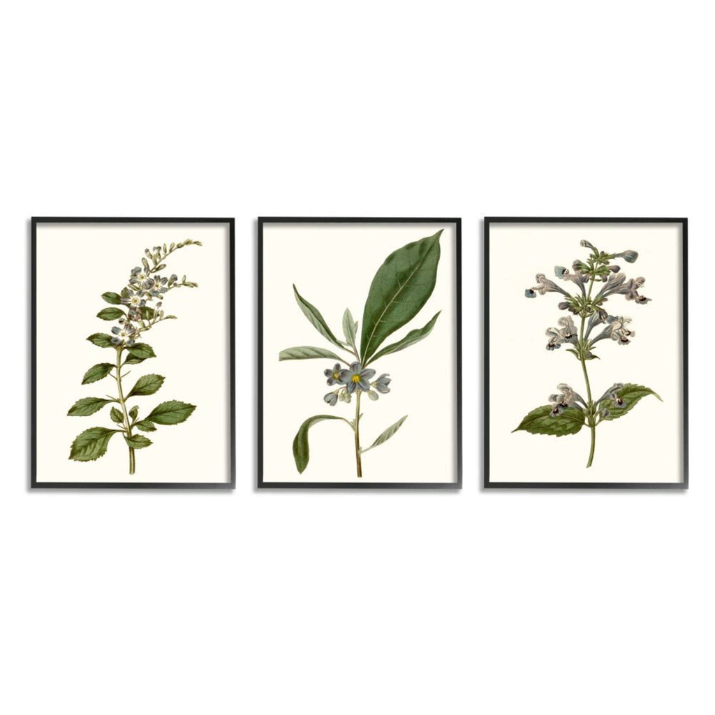 Minimal Blue Botanical Study Framed Floral Wood Print in Brown H8647