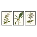Minimal Blue Botanical Study Framed Floral Wood Print in Brown H8647