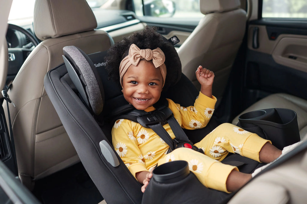 Cranberry Ice All-in-One Convertible Car Seat C7042