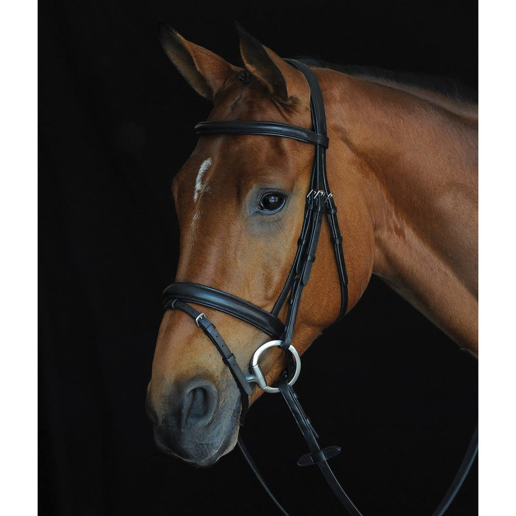 Black Padded Raised Flash Bridle B435261