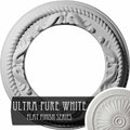 Roped Medway Ceiling Medallion, Hand-Painted Ultra Pure White Q6271