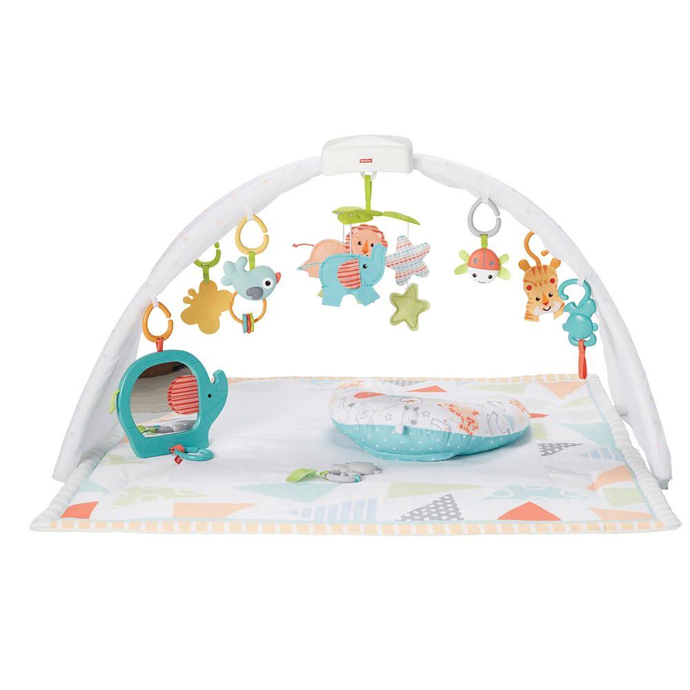 Safari Dreams Music & Lights Gym F79513