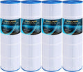 Pack of 4 Pool Filter Cartridge C979