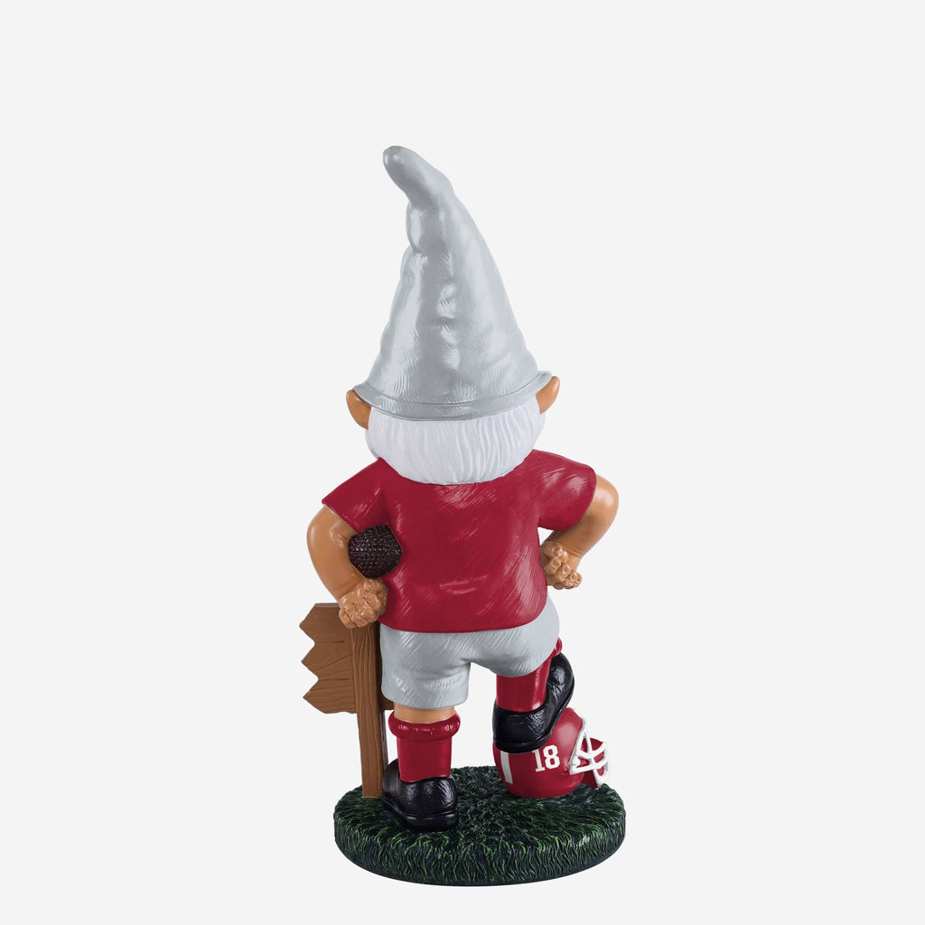 NCAA Gnome N61787