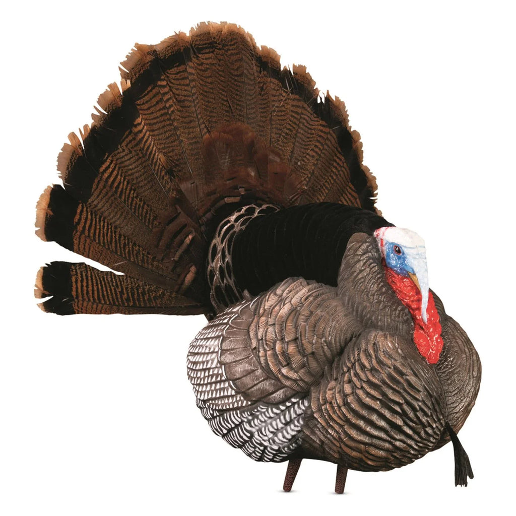 Hard Body Turkey Decoy T321080