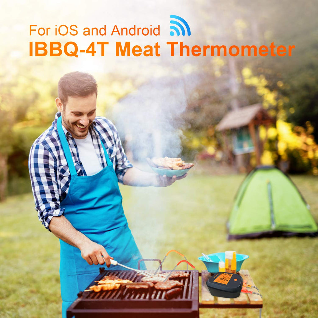 WiFi Meat Thermometer with 4 Probes & Hard Carrying Case D4227