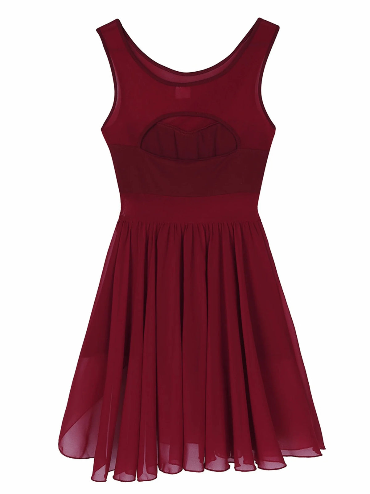 Chiffon Leotard Skirted Illusion V-Neck Dance Dress A448