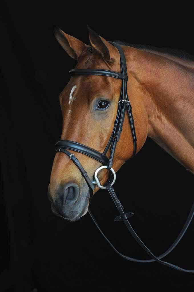 Black Padded Raised Flash Bridle B435261