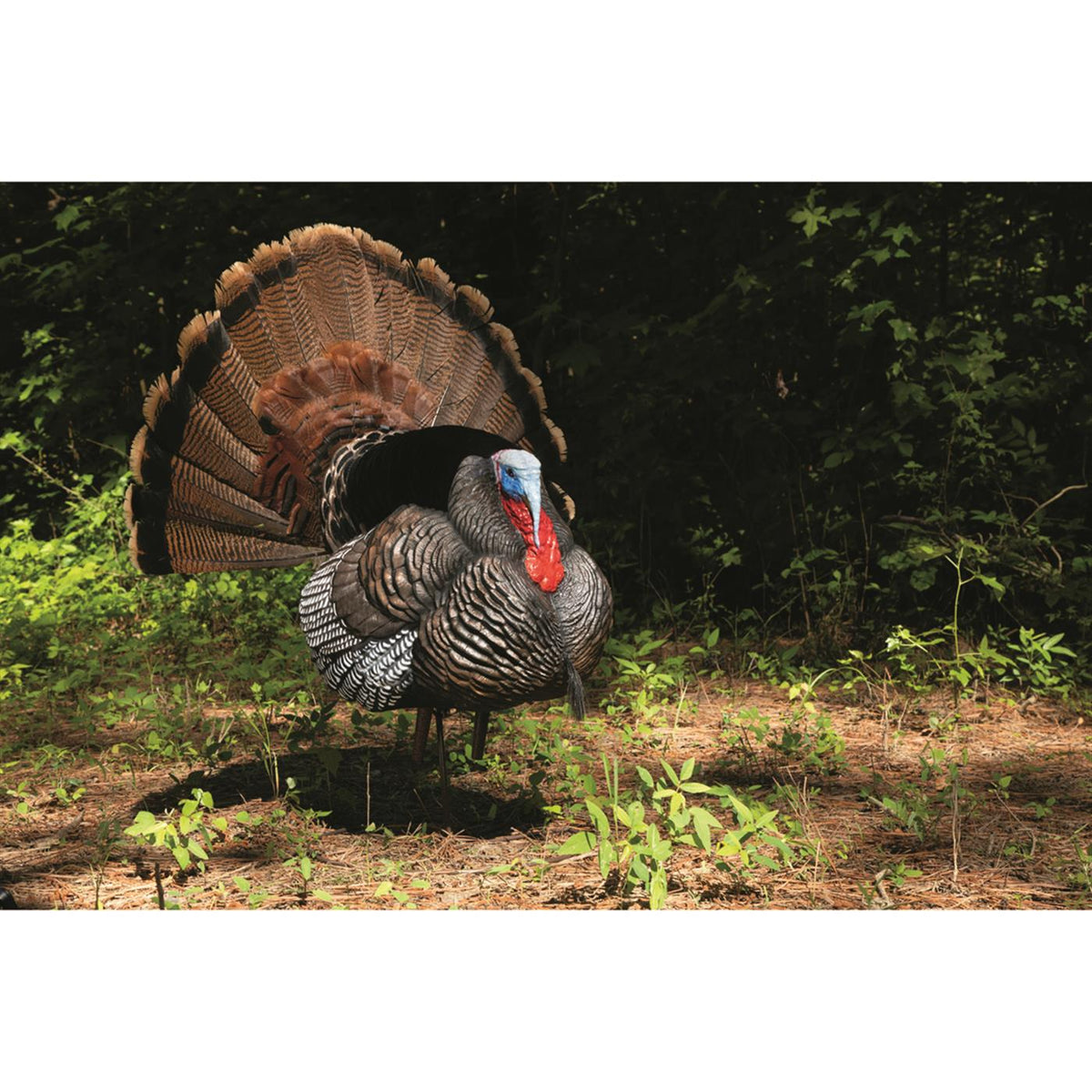 Hard Body Turkey Decoy T321080