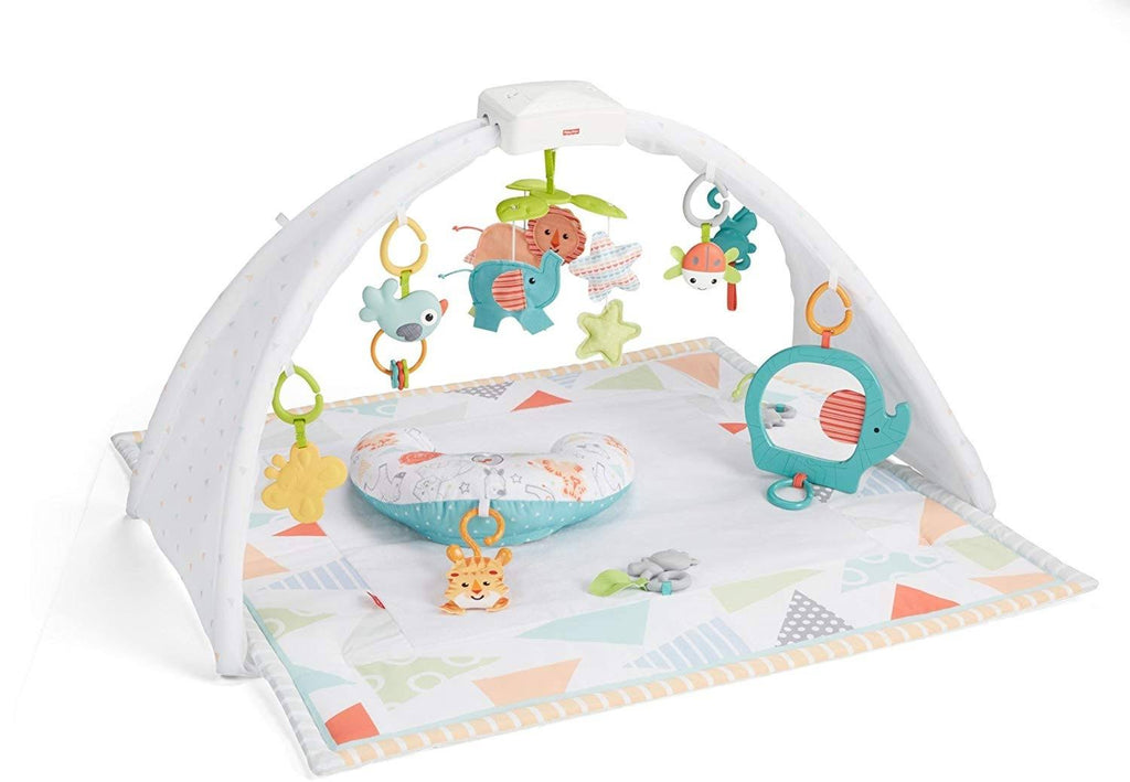 Safari Dreams Music & Lights Gym F79513