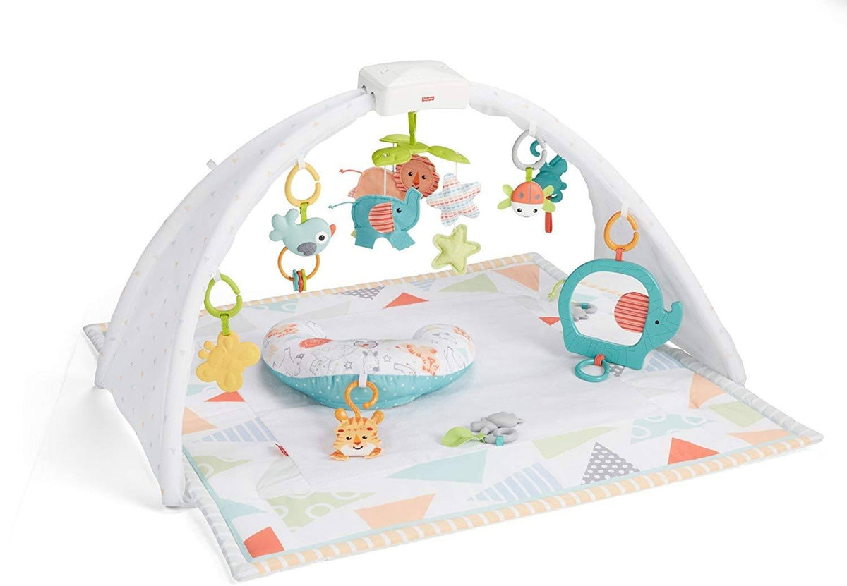 Safari Dreams Music & Lights Gym F79513