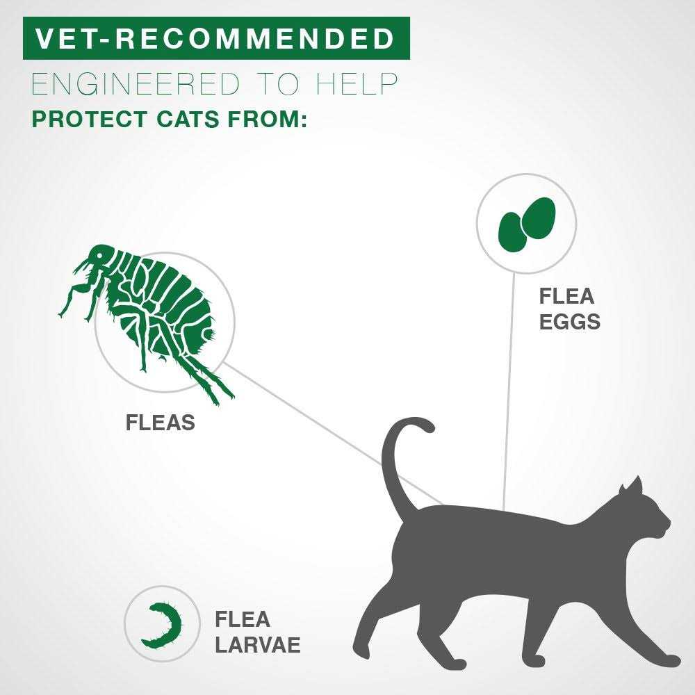 Advantage II Flea Treatment for Kittens Z474378