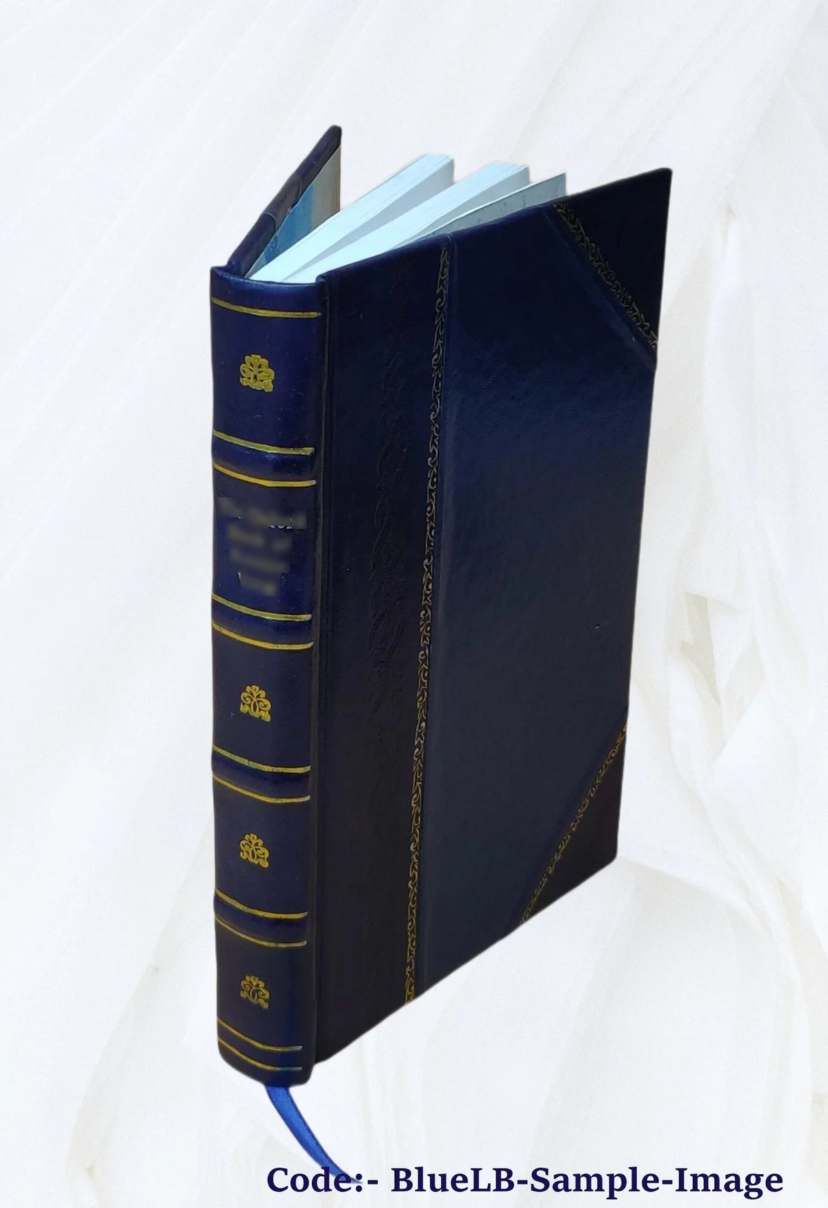 Leather Bound Book L505564