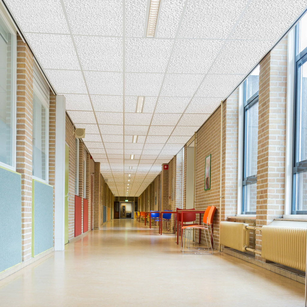 White 24 in W x 48 in L Ceiling Tile Z6116