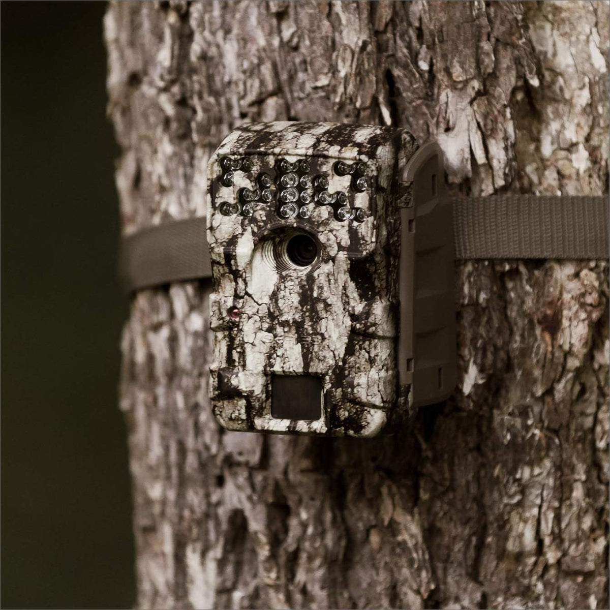 Trail Camera with Batteries and 16 MB SD Card Q884