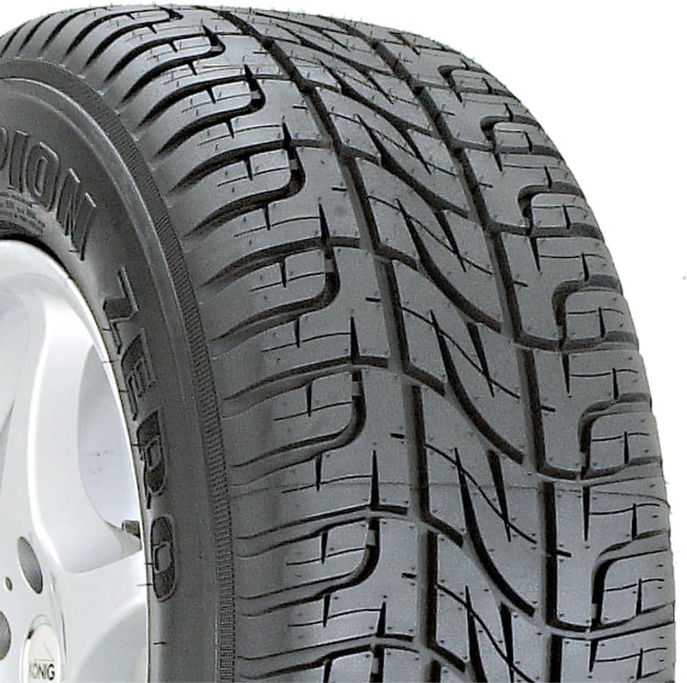 255/55R19 All-Season Radial Tire F346