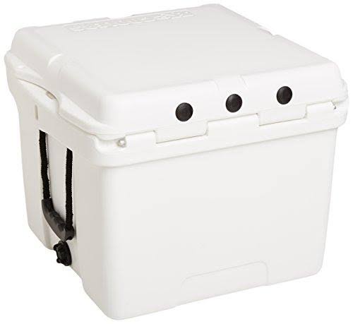 Purple and Yellow 30 Quart Cooler D289829