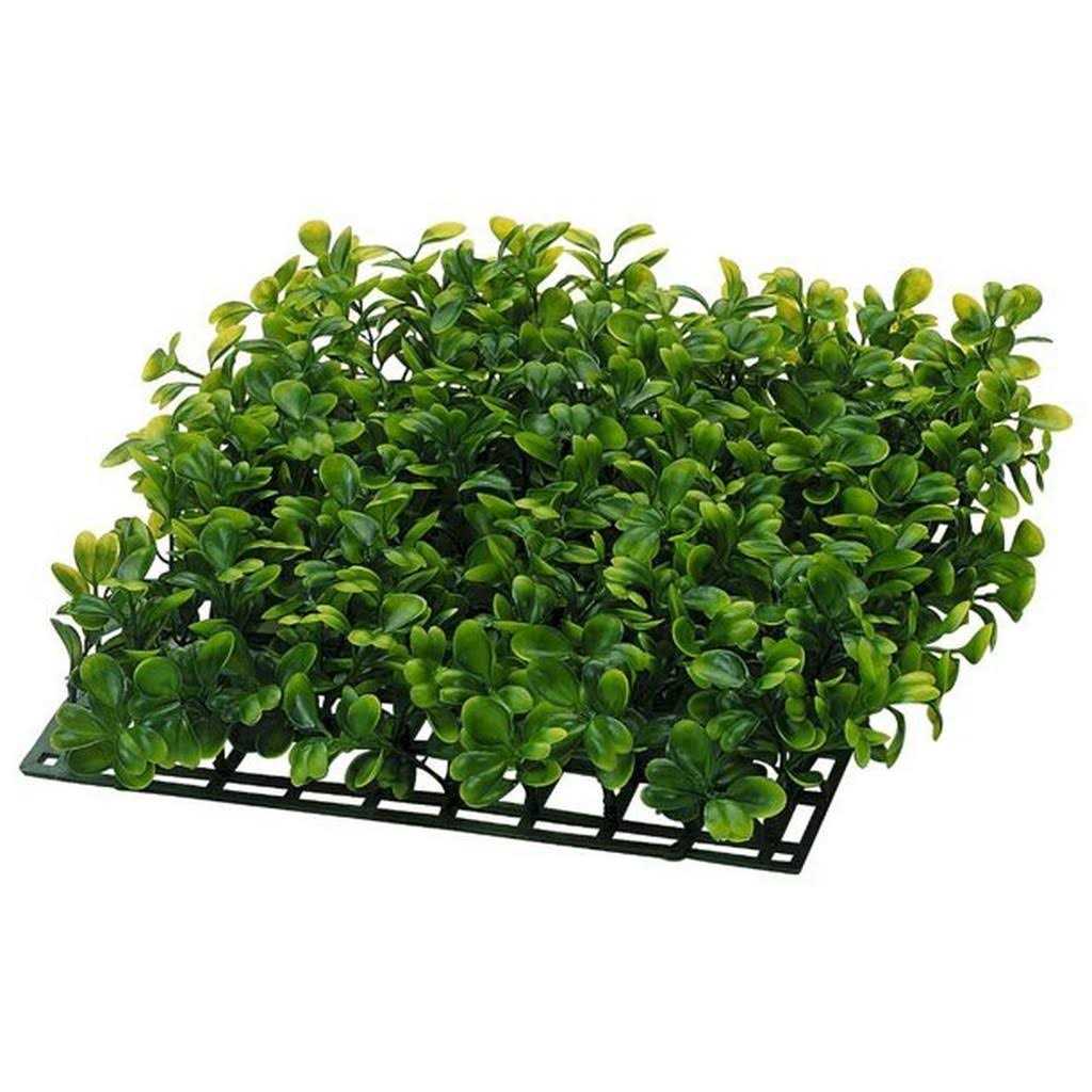 20 Gallons Aquatic Turtle Kit with Filter And Heating Lamps V411644