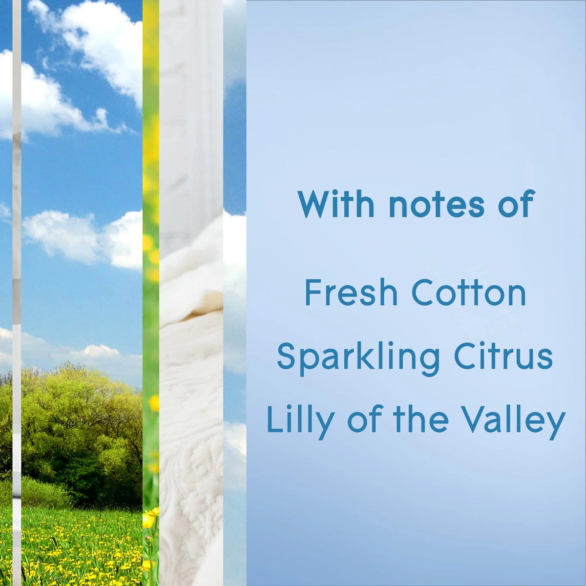 Clean Linen Room Air Freshener Spray, 8.3 Oz (Pack of 24) A729