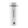 350ML Stainless Steel Portable Electric Kettle P9263