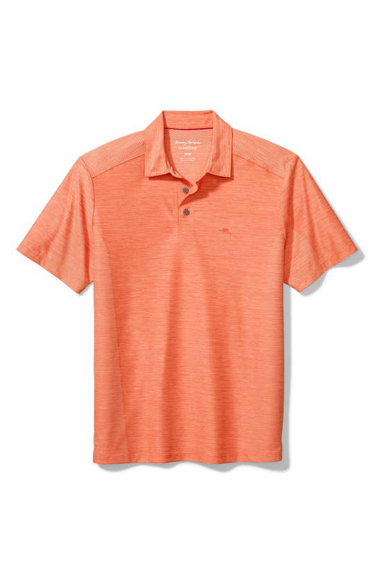 Peach Parrot Classic Fit Polo O42878