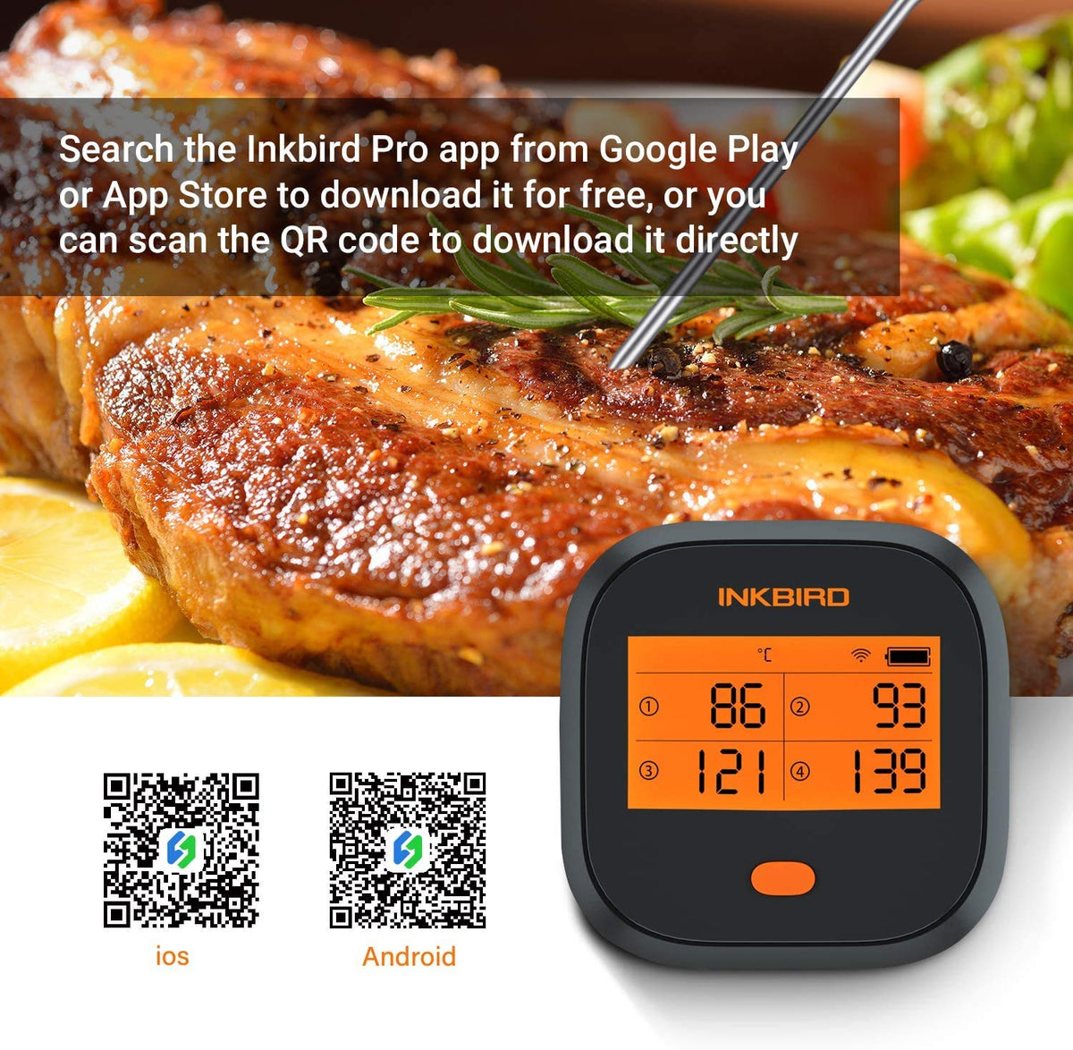WiFi Meat Thermometer with 4 Probes & Hard Carrying Case D4227