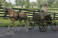 Mini Pony V Carriage Harness O8793