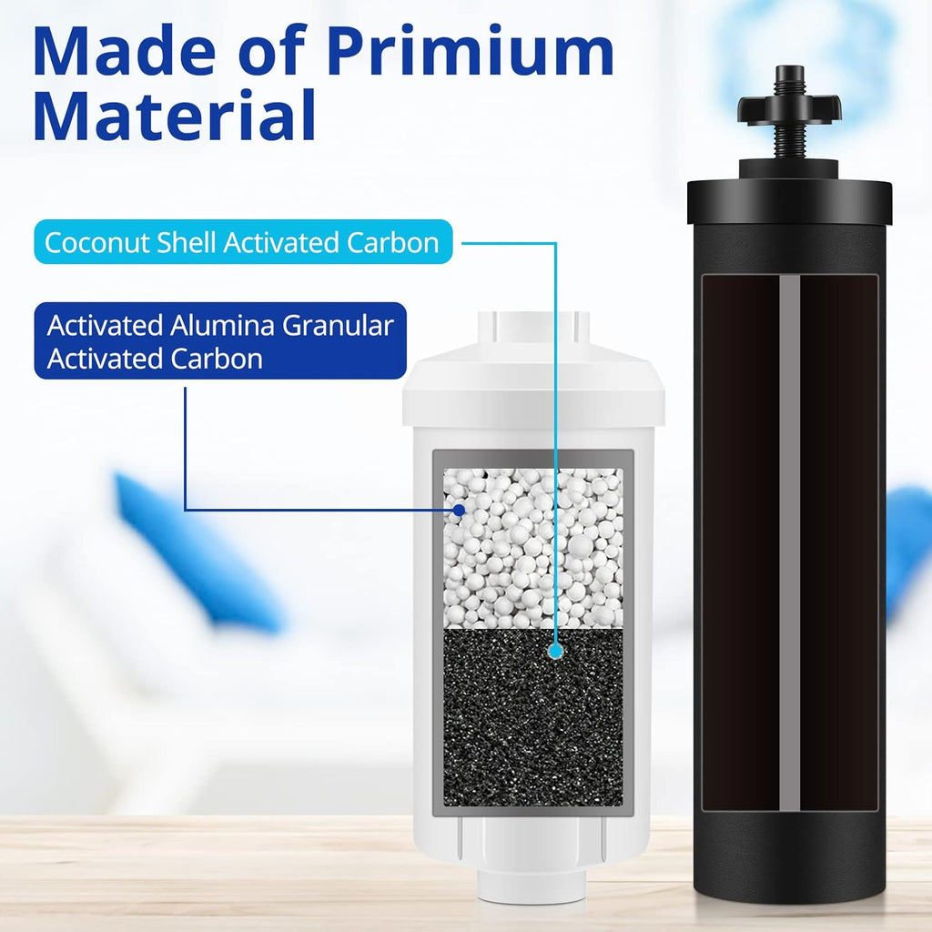 Water Filter Replacement Parts Compatible with Black BB9-2 Filters & PF-2 Fluoride Filters, Pack of 2 P5997