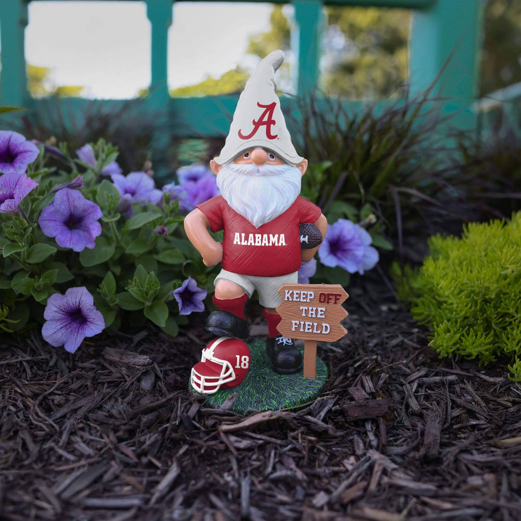 NCAA Gnome N61787