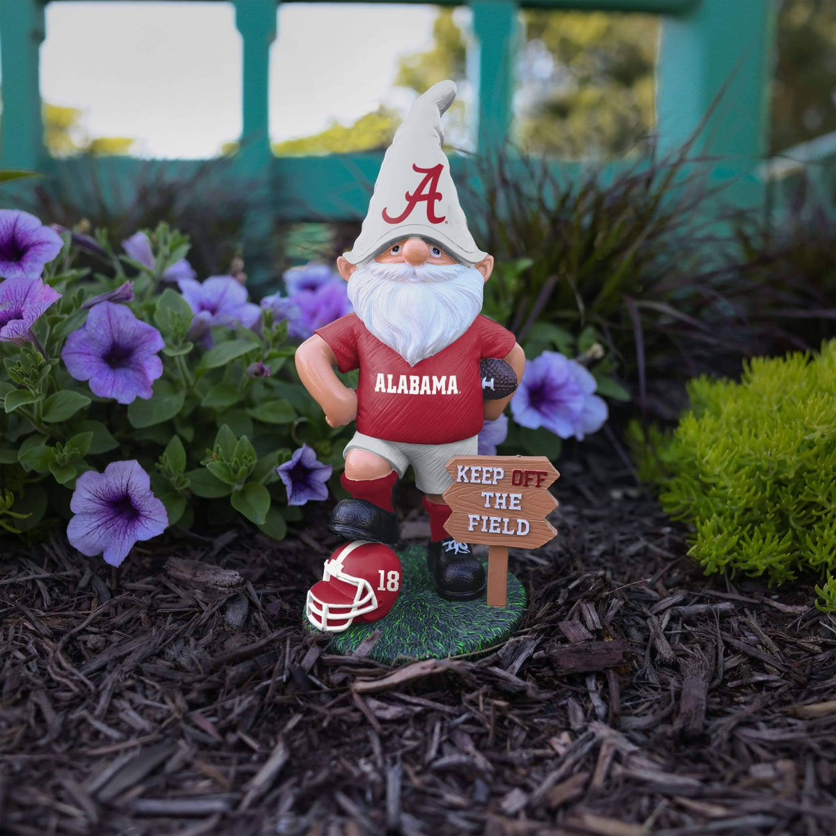 NCAA Gnome N61787