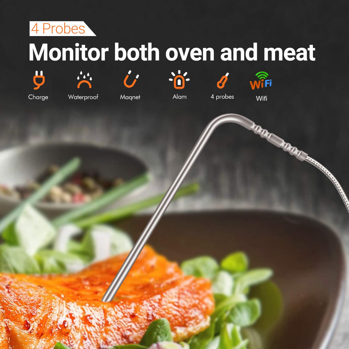 WiFi Meat Thermometer with 4 Probes & Hard Carrying Case D4227