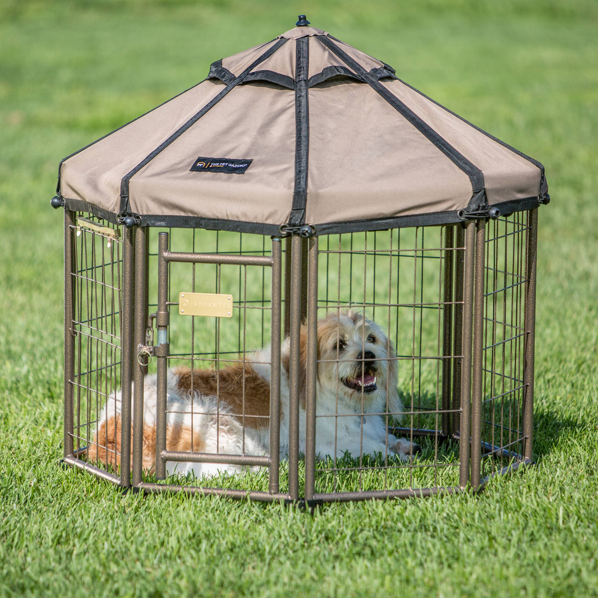 Pet Gazebo Taupe B14304