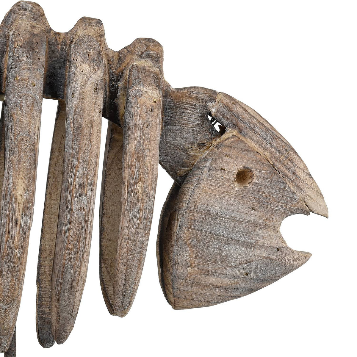 Bone Fish Decorative Accessory in Natural C631
