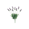 Blue Lavender Bush X6 L789